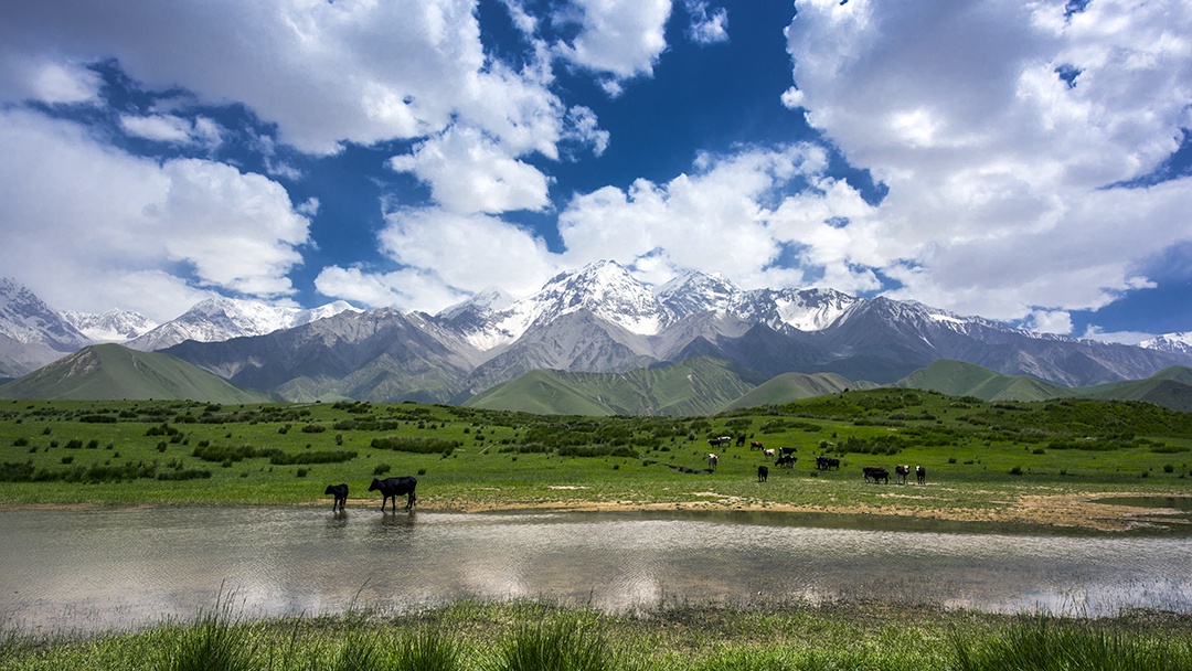 倍頭條 | 一周內(nèi)倍杰特成功競得兩處銅礦！